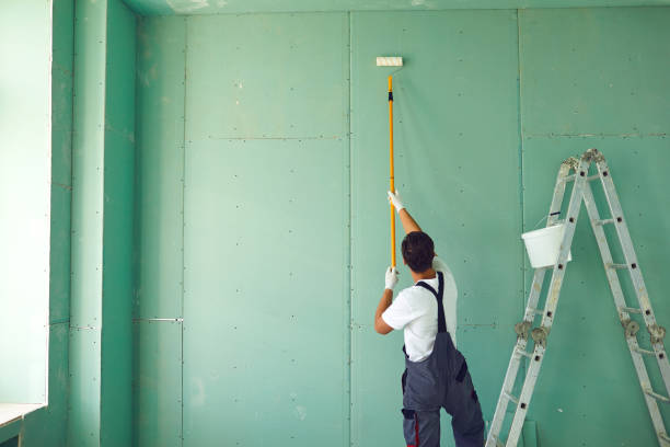 Best Mold Remediation for Rental Properties  in Estill, SC