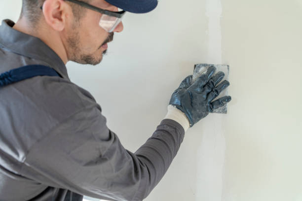 Asbestos and Lead Testing During Mold Inspection in Estill, SC