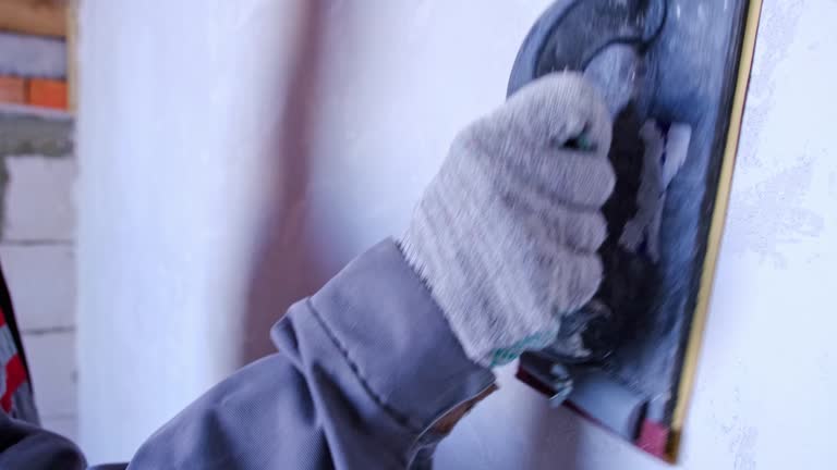 Best Industrial Mold Remediation  in Estill, SC