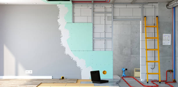 Best Mold Damage Restoration  in Estill, SC
