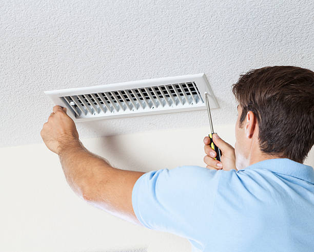 Best Emergency Mold Remediation  in Estill, SC