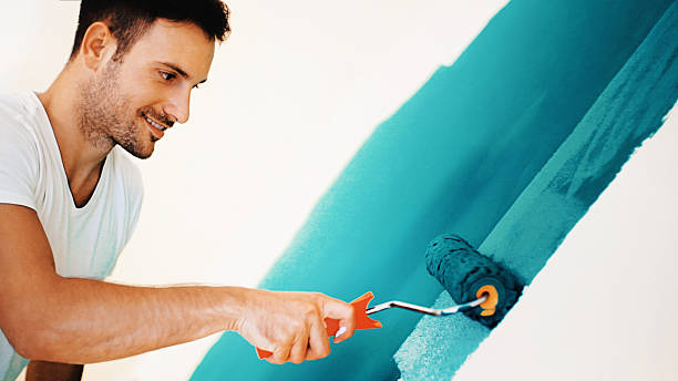 Best Post-Construction Mold Inspection  in Estill, SC