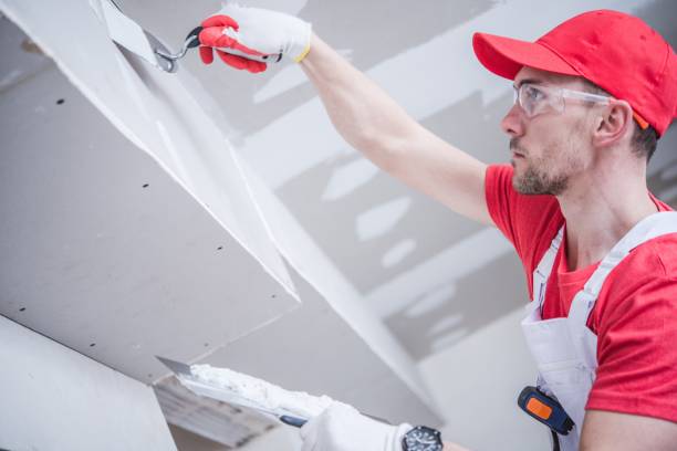 Best Comprehensive Air Testing for Mold Contaminants  in Estill, SC